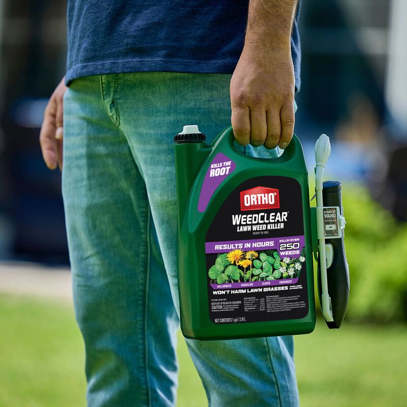Ortho® WeedClear™ Lawn Weed Killer Ready-to-Use₁ (South) image number null