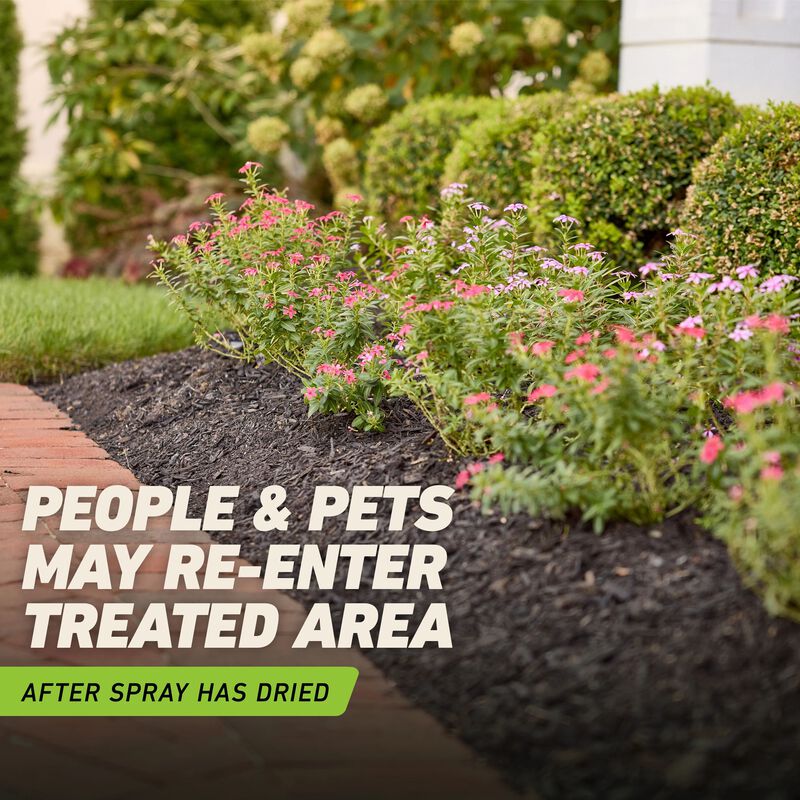 Ortho® GroundClear® Weed & Grass Killer with Comfort Wand® image number null