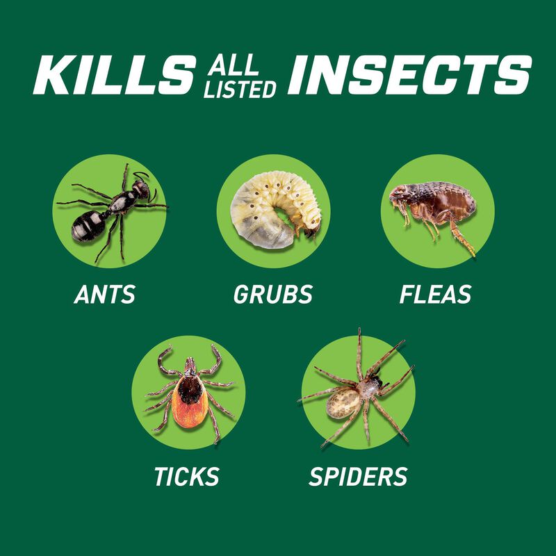 Ortho Bug BGon Lawn Insect Killer Ortho