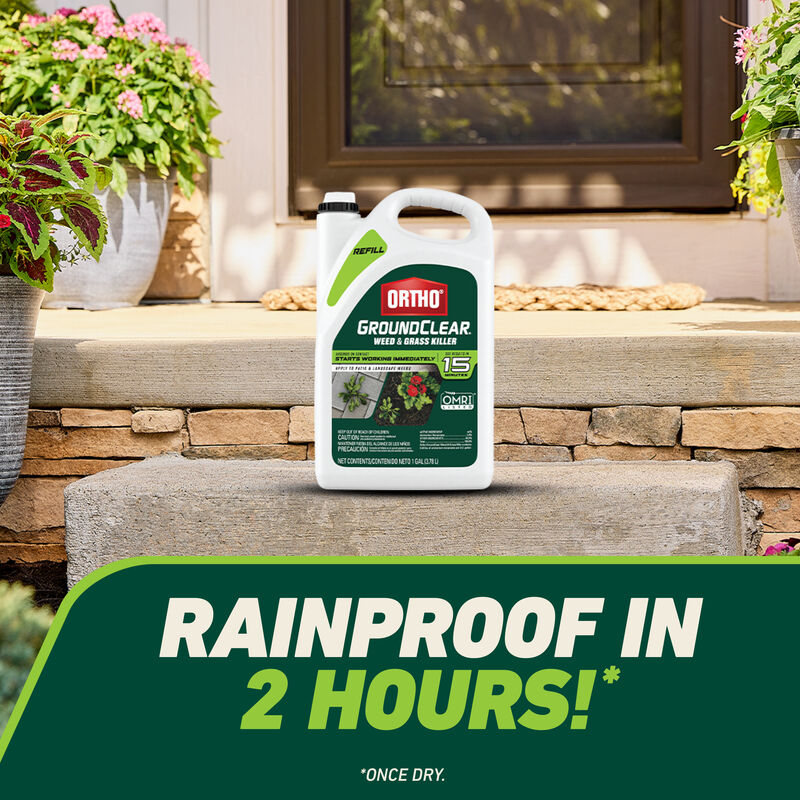 Ortho® Groundclear® Weed & Grass Killer Refill image number null