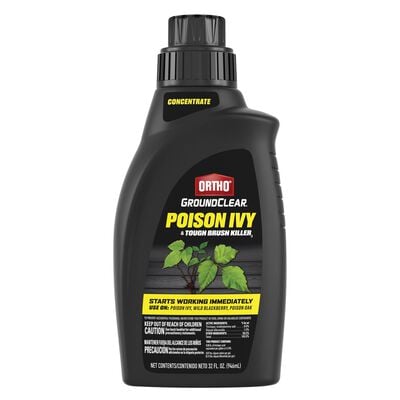 Ortho® Groundclear® Poison Ivy & Tough Brush Killer1 Concentrate