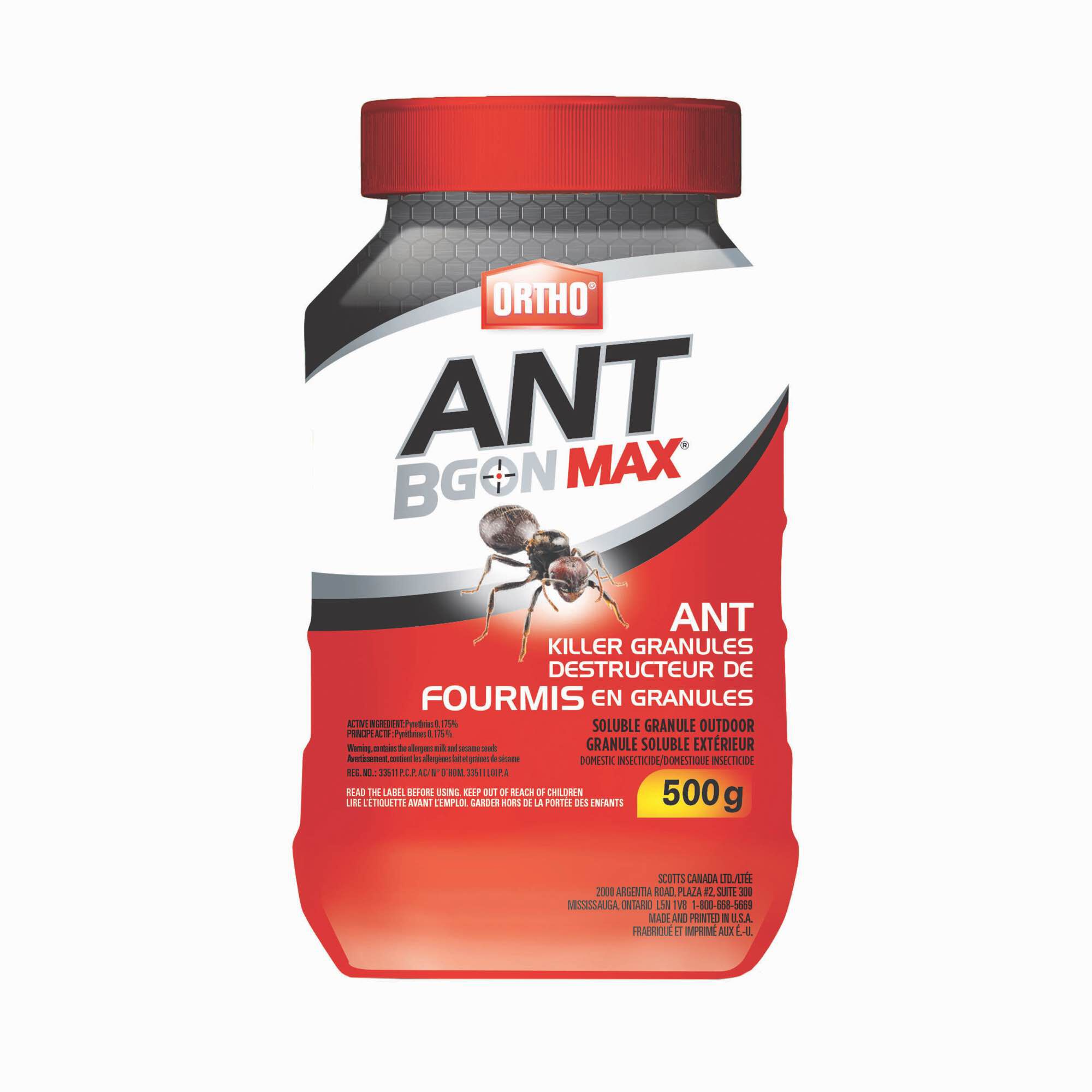 Ant insecticide 2025