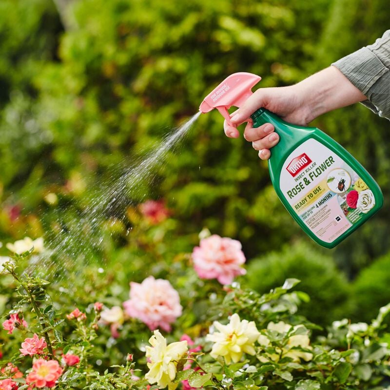 Ortho® Insect Killer Rose & Flower Ready-To-Use image number null