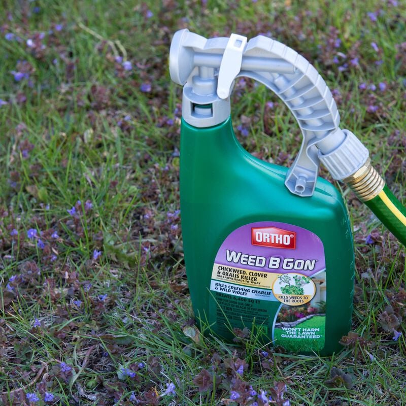 Ortho® Weed B Gon Chickweed, Clover & Oxalis Killer for Lawns Ready-To-Spray image number null