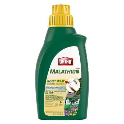 Ortho® MAX® Malathion Insect Spray Concentrate
