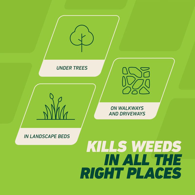 Ortho® GroundClear® Weed & Grass Killer with Comfort Wand® image number null