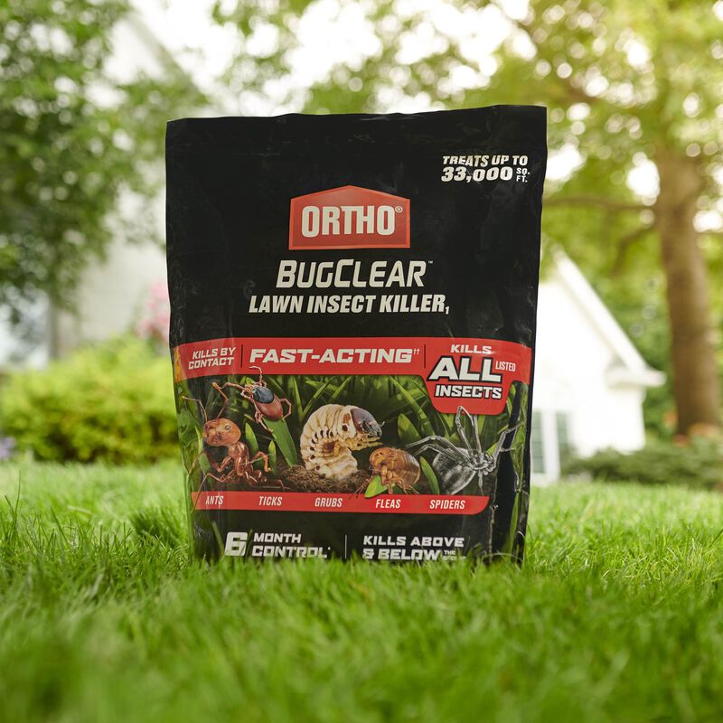 Ortho Bugclear Lawn Insect Killer1 Ortho