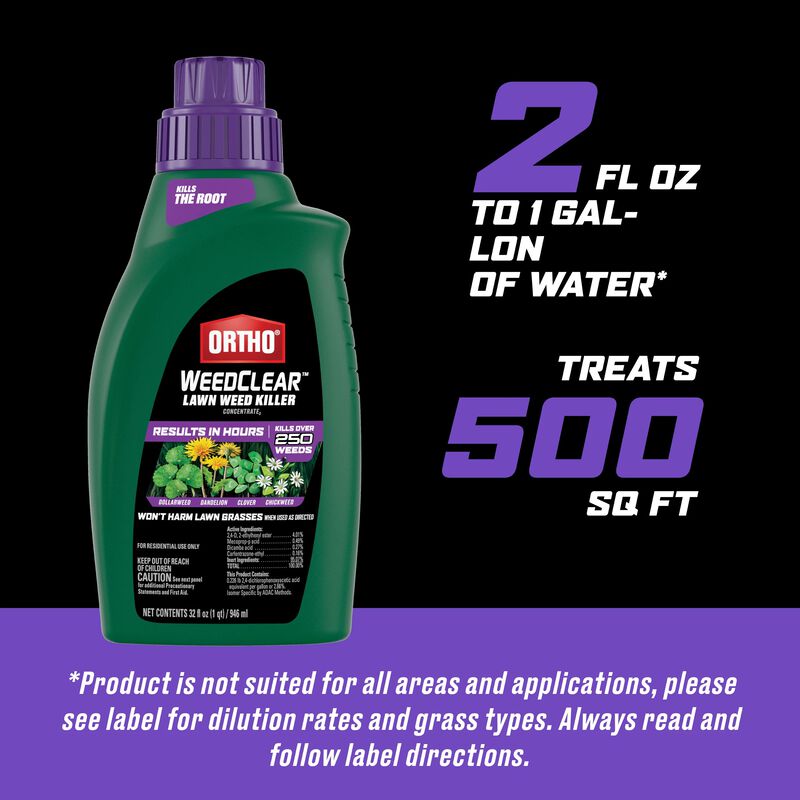 Ortho® WeedClear™ Lawn Weed Killer Concentrate₂ (South) image number null