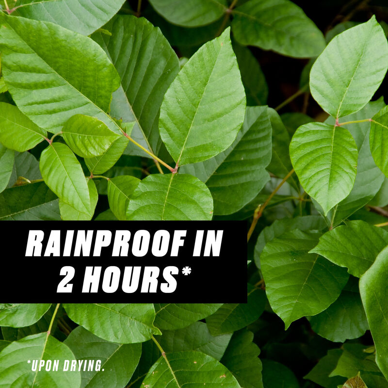 Ortho Groundclear Poison Ivy & Tough Brush Killer Ortho