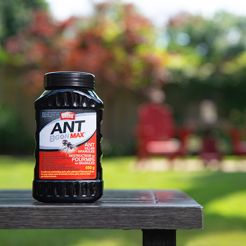Ortho® Ant B Gon MAX® Ant Killer Granules image number null
