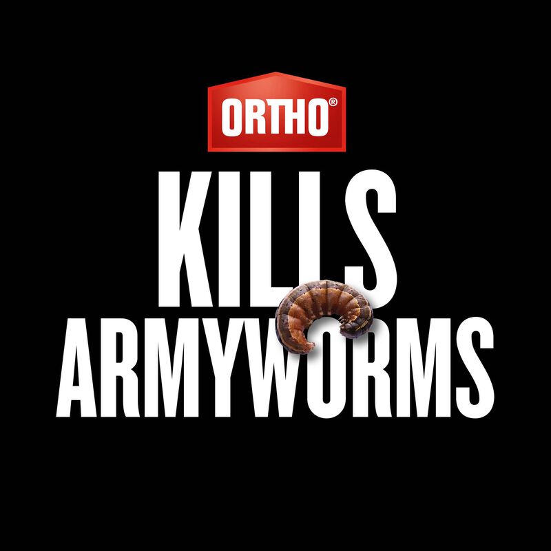 Ortho Bug BGon Lawn Insect Killer Ortho