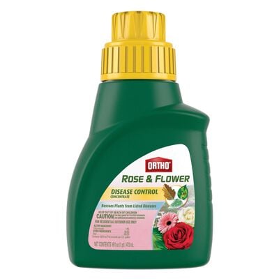 Ortho® Rose & Flower Disease Control Concentrate
