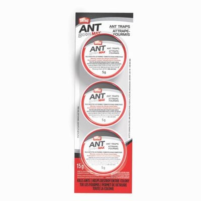 Ortho® Ant B Gon® MAX Ant Traps