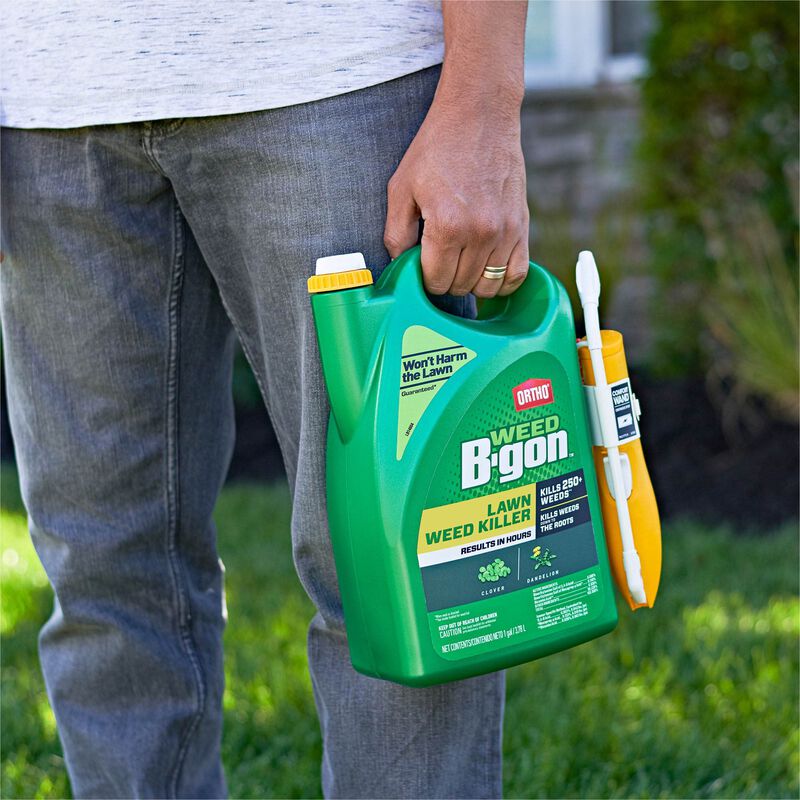 Ortho Weed B Gon Lawn Weed Killer Ortho Ortho Weed B Gon Lawn Weed Killer Ortho