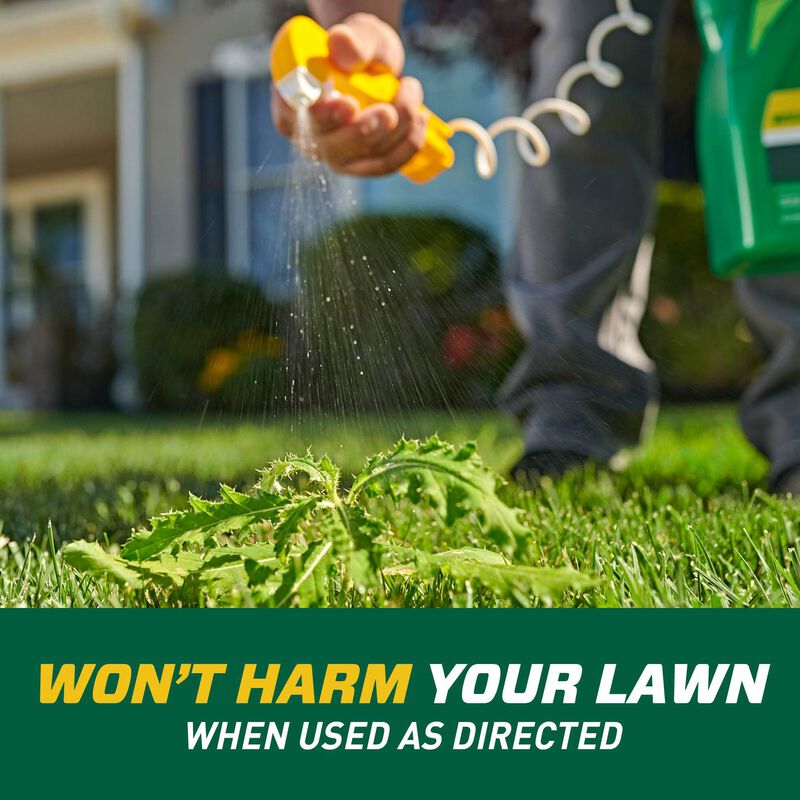 Ortho Weed BGon Lawn Weed Killer Ortho