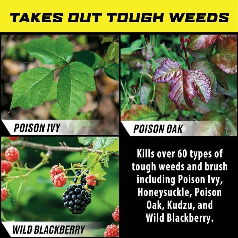 Ortho® Groundclear® Poison Ivy & Tough Brush Killer1 Concentrate image number null