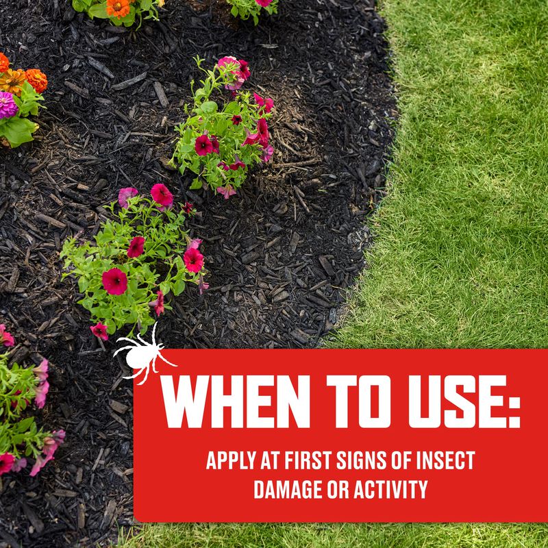 Ortho® Bugclear™ Lawn Insect Killer₁ image number null
