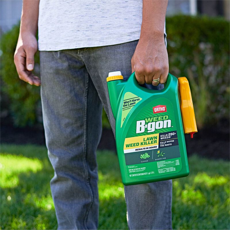 Ortho Weed BGon Lawn Weed Killer Ortho
