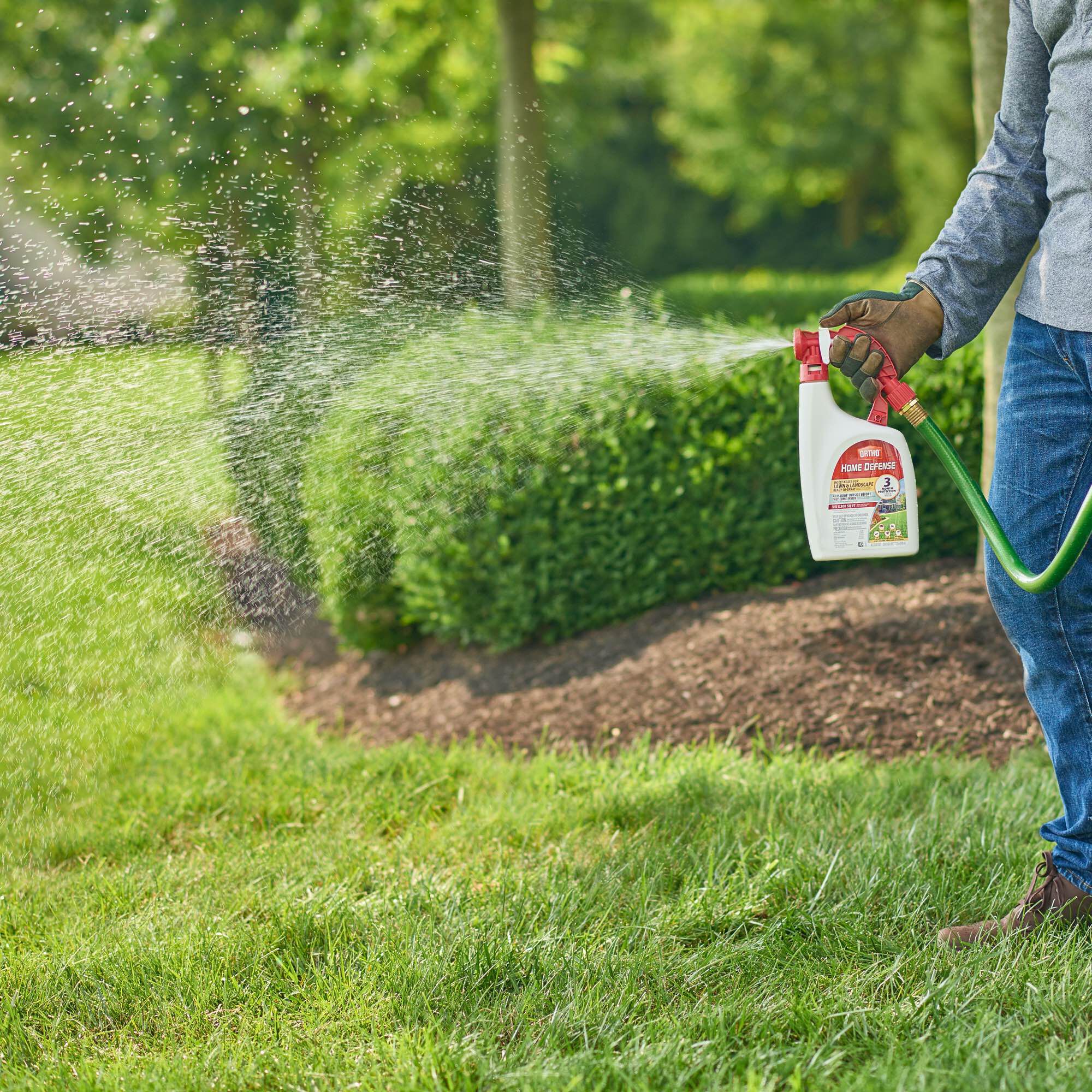 Tick powder for yard on sale