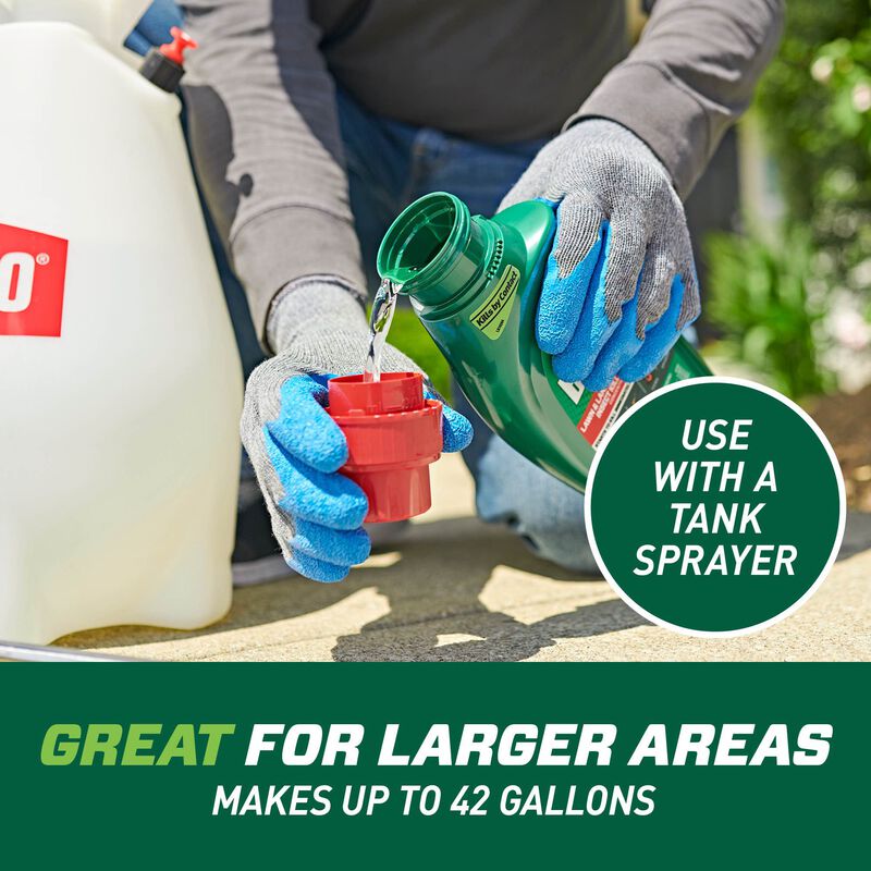 Ortho Bug B-Gon Lawn & Landscape Insect Killer | Ortho