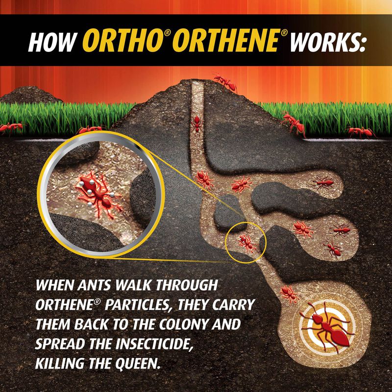 Ortho® Orthene Fire Ant Killer1 image number null