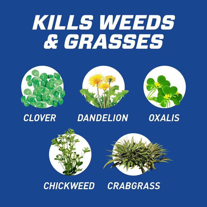 Ortho® GroundClear® Weed & Grass B-gon™ Patio & Landscape Weed & Grass Killer image number null