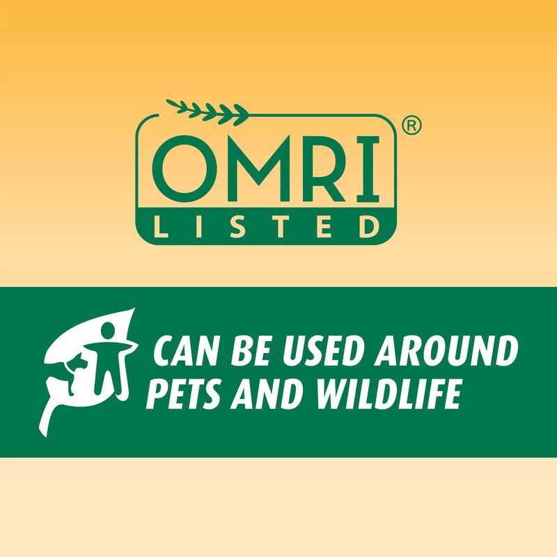 Ortho® Bug-Geta® Snail & Slug Killer₂ image number null