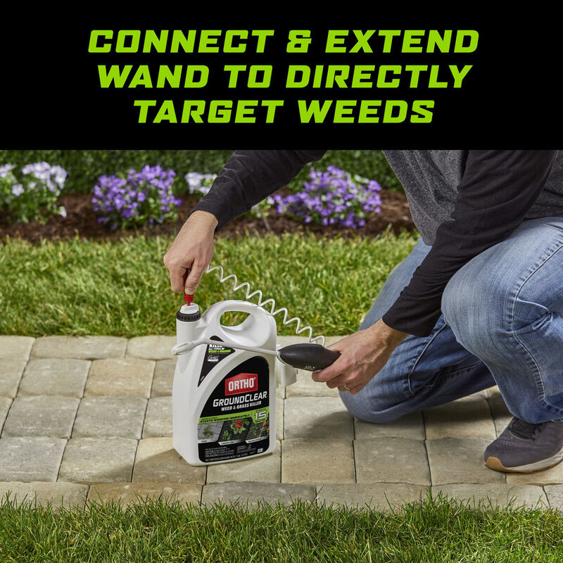 Ortho Groundclear Weed And Grass Killer Ortho