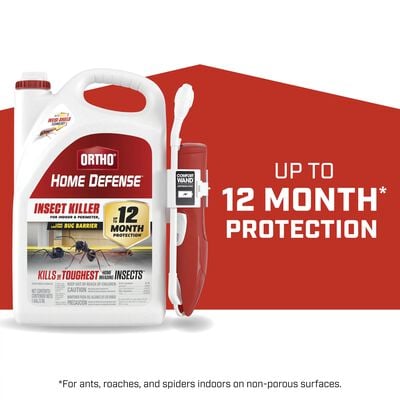 Ortho® Home Defense® Insect Killer for Indoor & Perimeter
