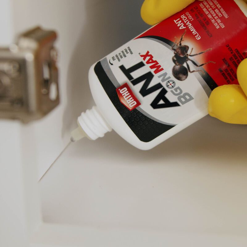 Éliminateur de fourmis liquide Ortho® Ant B Gon® MAX image number null