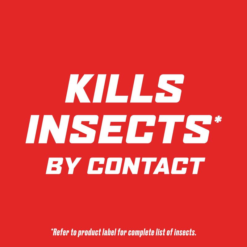 Ortho® Outdoor Insect Killer Concentrate image number null