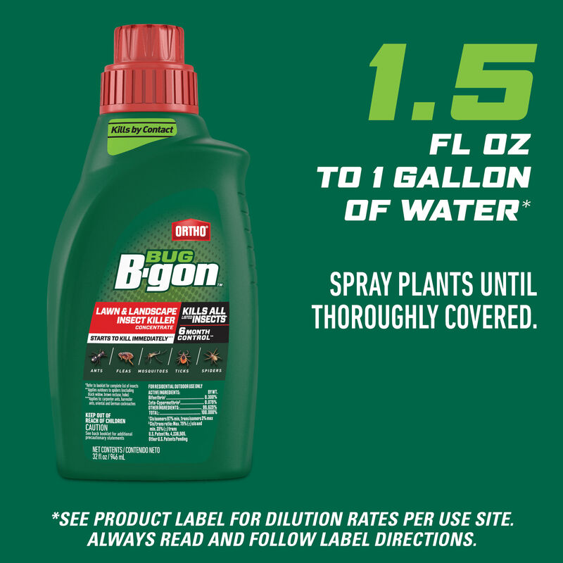 Ortho Bug BGon Lawn & Landscape Insect Killer Ortho