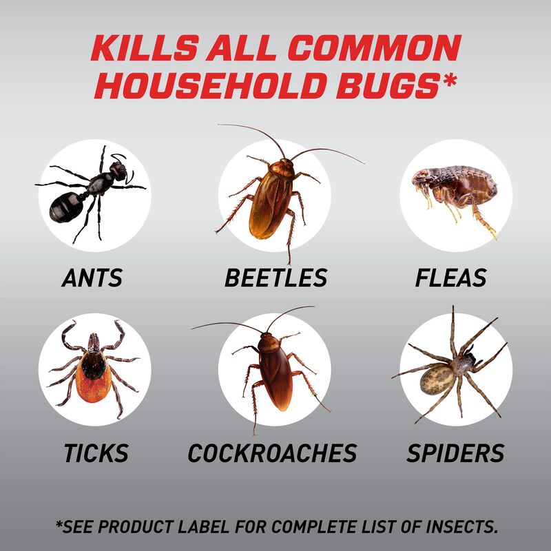 Ortho® Home Defense® MAX® Indoor Insect Barrier 1.5L image number null