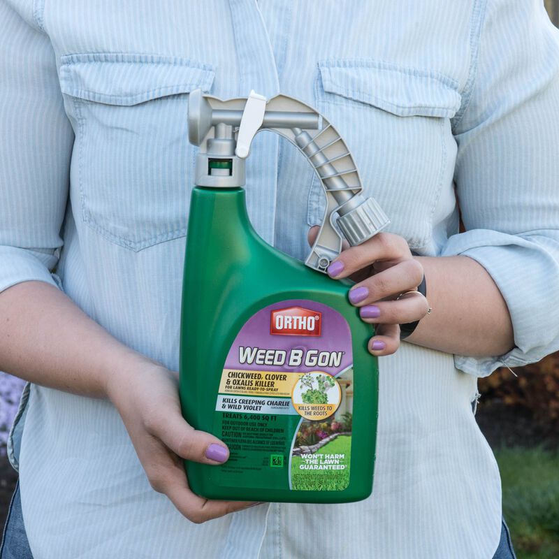 Ortho® Weed B Gon Chickweed, Clover & Oxalis Killer for Lawns Ready-To-Spray image number null