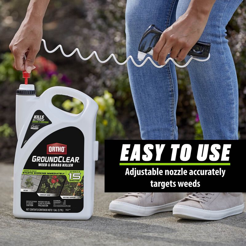 Ortho Groundclear Weed & Grass Killer Ortho