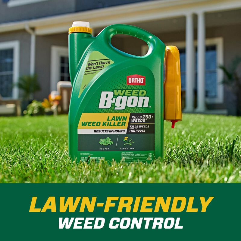 Ortho Weed BGon Lawn Weed Killer Ortho