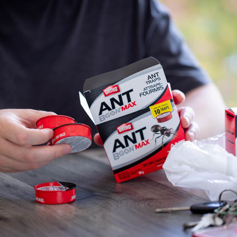 Ortho® Ant B Gon® MAX Ant Traps image number null