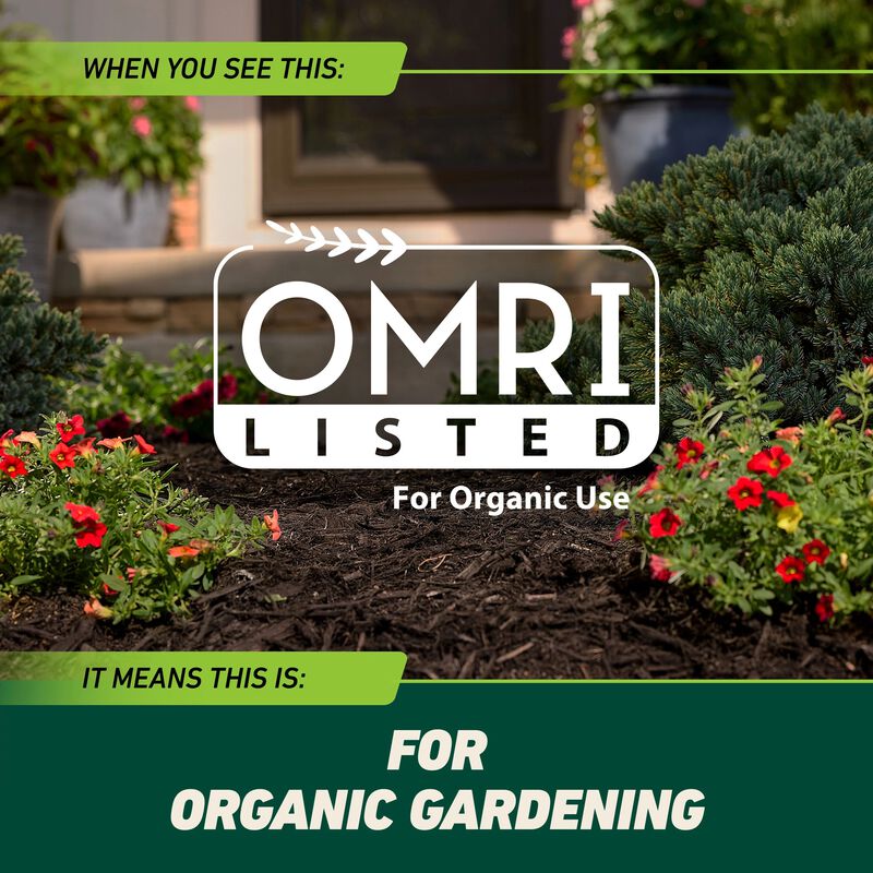 Ortho® GroundClear® Weed & Grass Killer with Comfort Wand® image number null