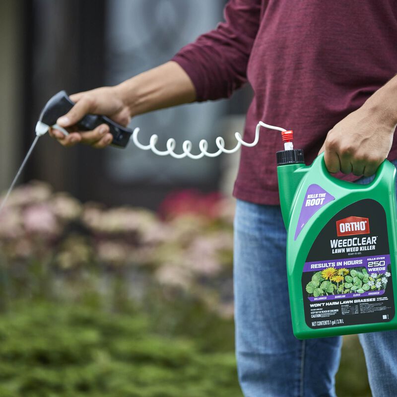 Ortho WeedClear Lawn Weed Killer (South) Ortho