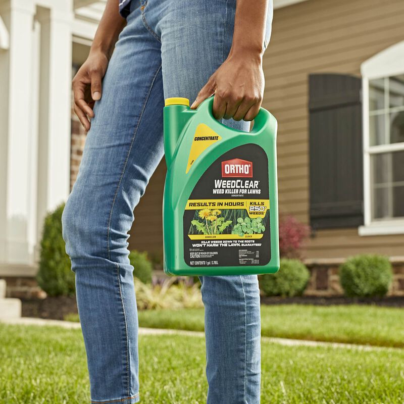 Ortho® WeedClear™ Weed Killer for Lawns Concentrate image number null
