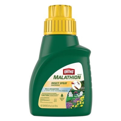 Ortho® MAX® Malathion Insect Spray Concentrate