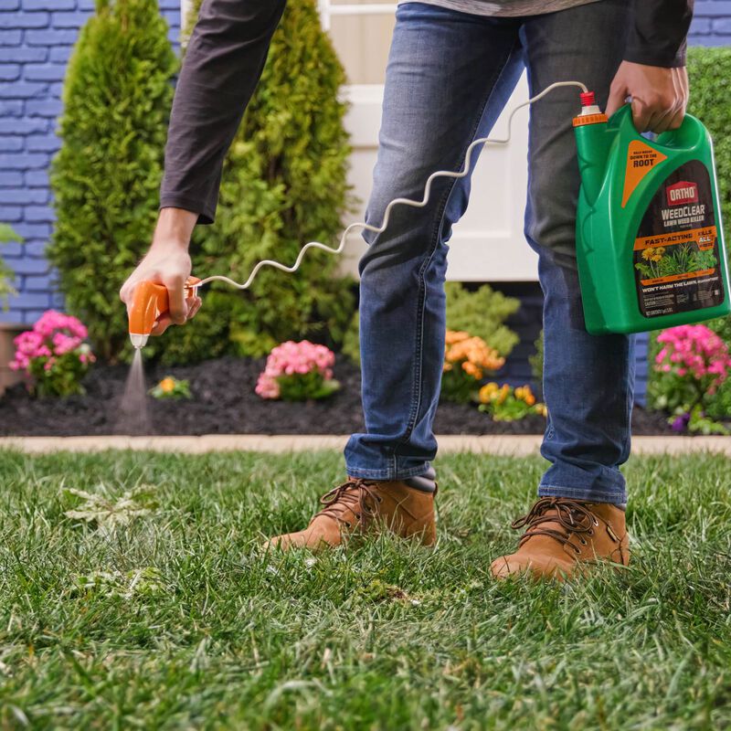 Ortho® WeedClear™ Lawn Weed Killer Ready-to-Use (North) image number null