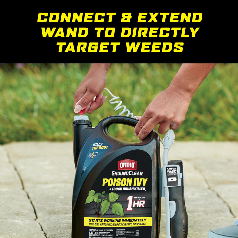 Ortho Groundclear Poison Ivy & Tough Brush Killer Ortho