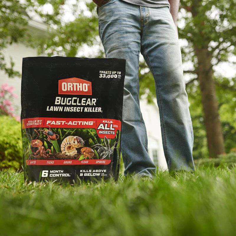 Ortho Bugclear Lawn Insect Killer1 Ortho