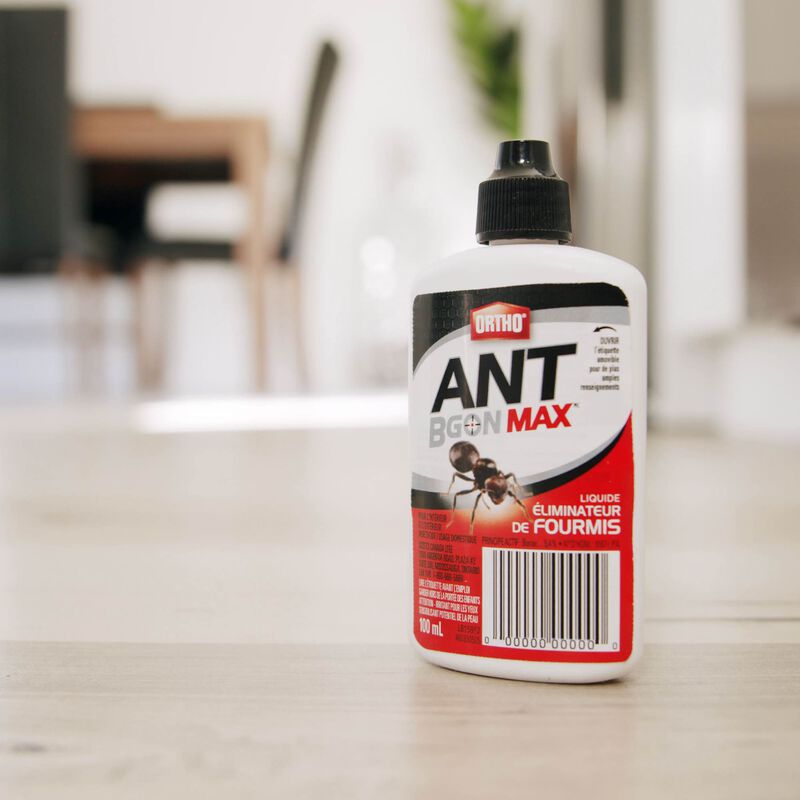 Ortho Ant B Gon Max Ant Eliminator Liquid