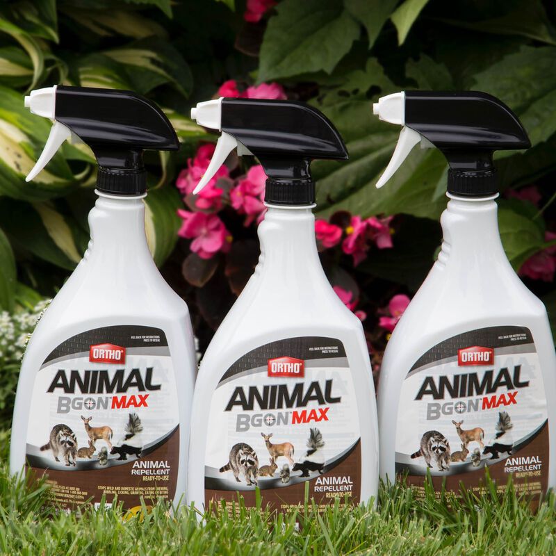 Ortho® Animal B Gon® MAX Animal Repellent Ready-To-Use image number null