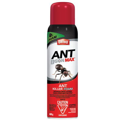 Ortho® Ant B Gon Max Mc Mousse Fourmicide ¹