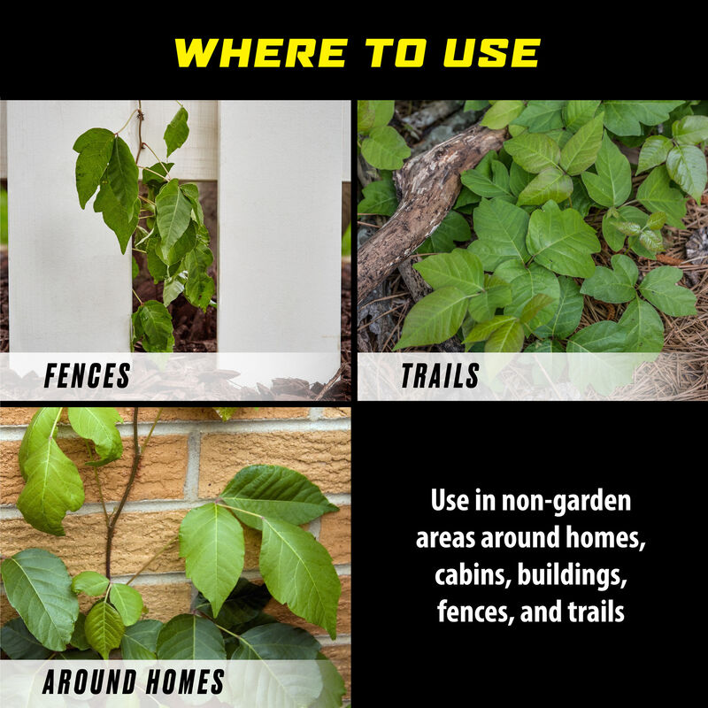 Ortho Groundclear Poison Ivy & Tough Brush Killer Ortho