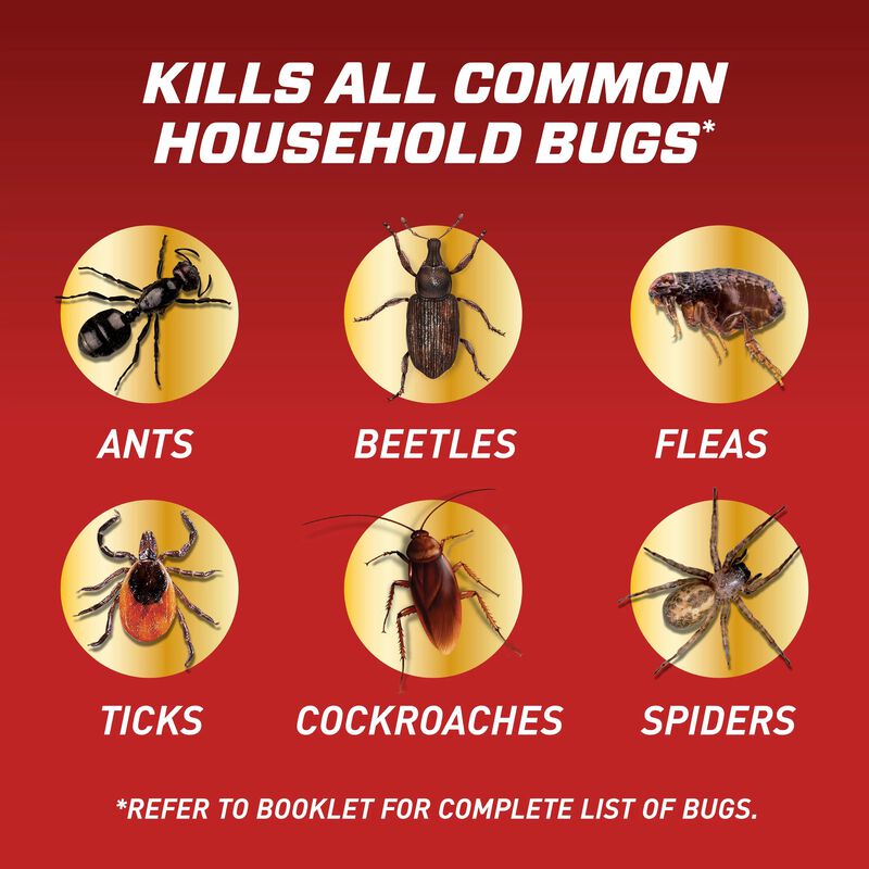 Ortho® Home Defense® Insect Killer for Indoor & Perimeter Concentrate image number null