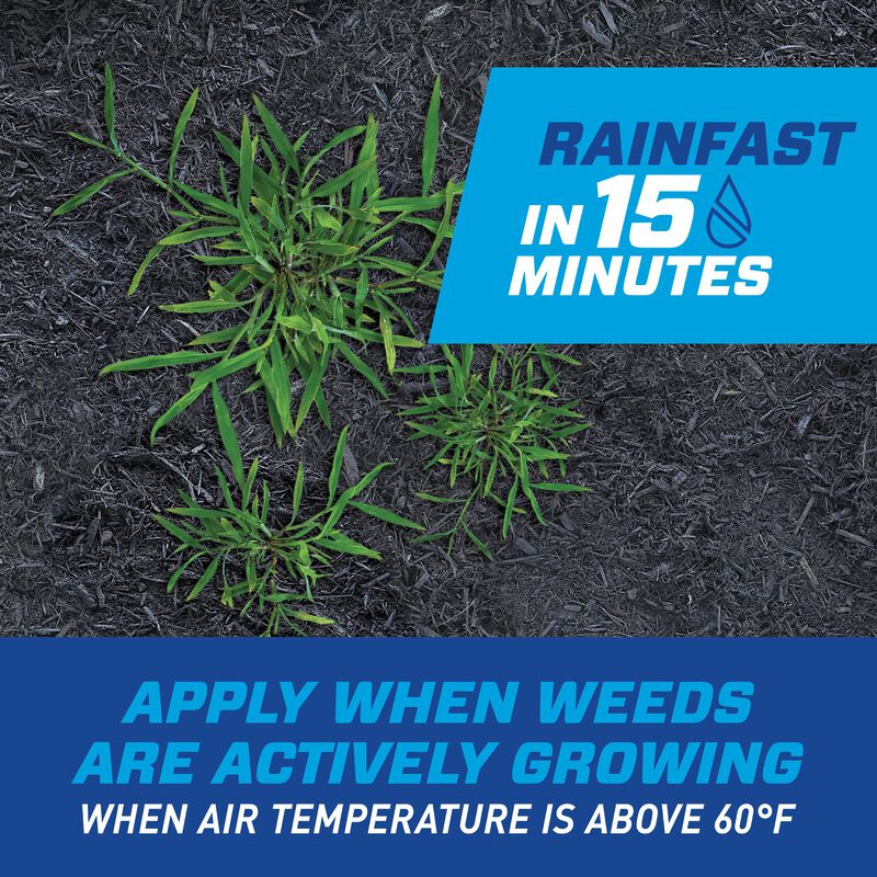 Ortho® GroundClear® Weed & Grass B-gon™ Patio & Landscape Weed & Grass Killer image number null